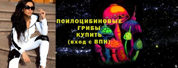 PSILOCYBIN Вяземский