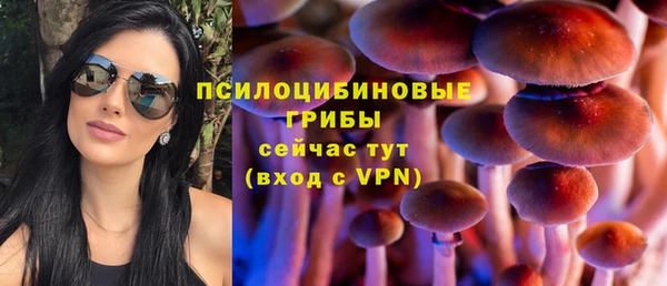 PSILOCYBIN Вяземский